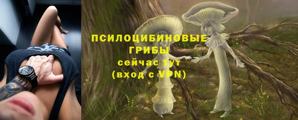 прущая мука Бородино
