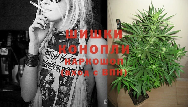 прущая мука Бородино