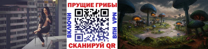 где продают наркотики  Архангельск  OMG маркетплейс  Псилоцибиновые грибы мухоморы 